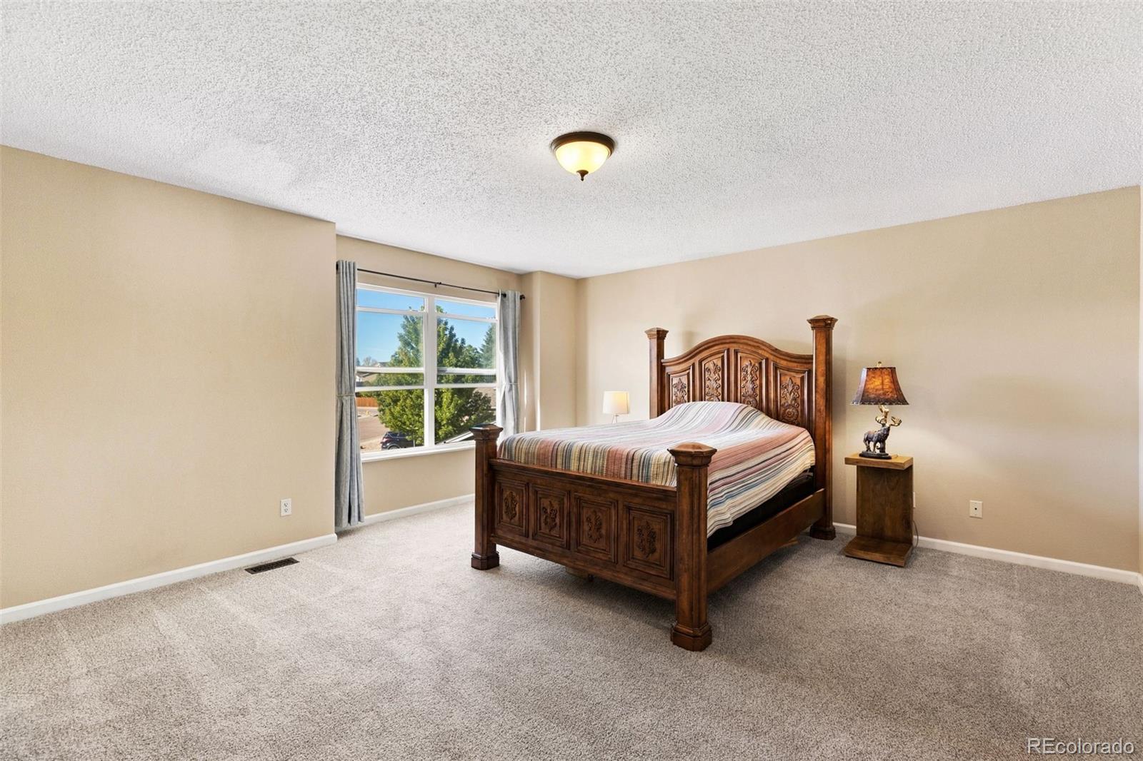 MLS Image #16 for 1150  pipestone court,colorado springs, Colorado
