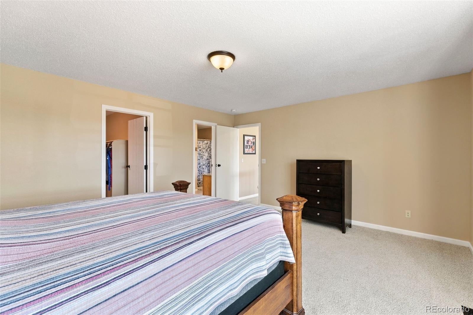 MLS Image #17 for 1150  pipestone court,colorado springs, Colorado