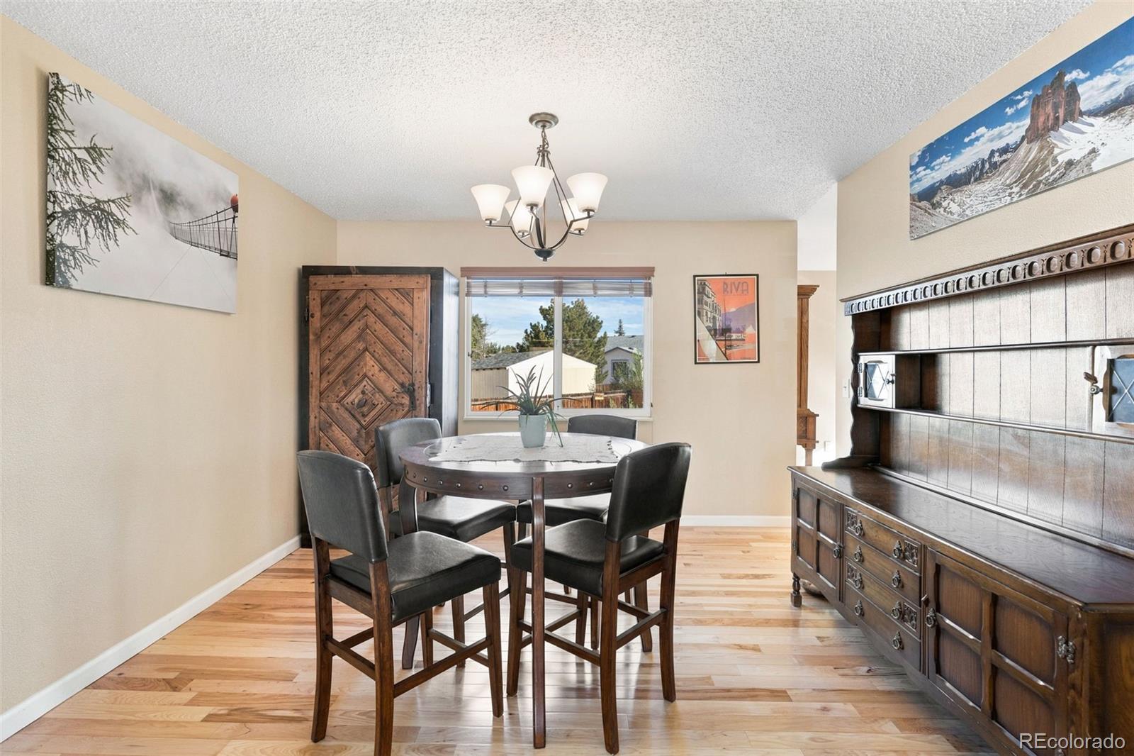 MLS Image #5 for 1150  pipestone court,colorado springs, Colorado