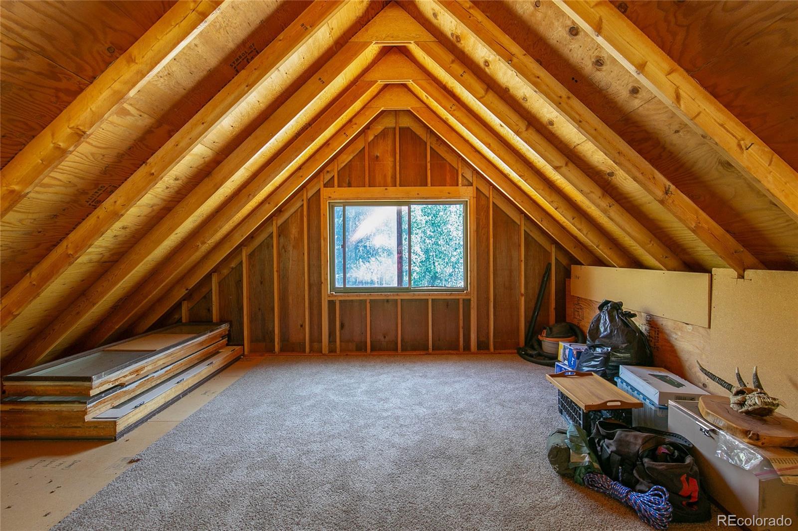 MLS Image #11 for 000  lake view drive,meredith, Colorado