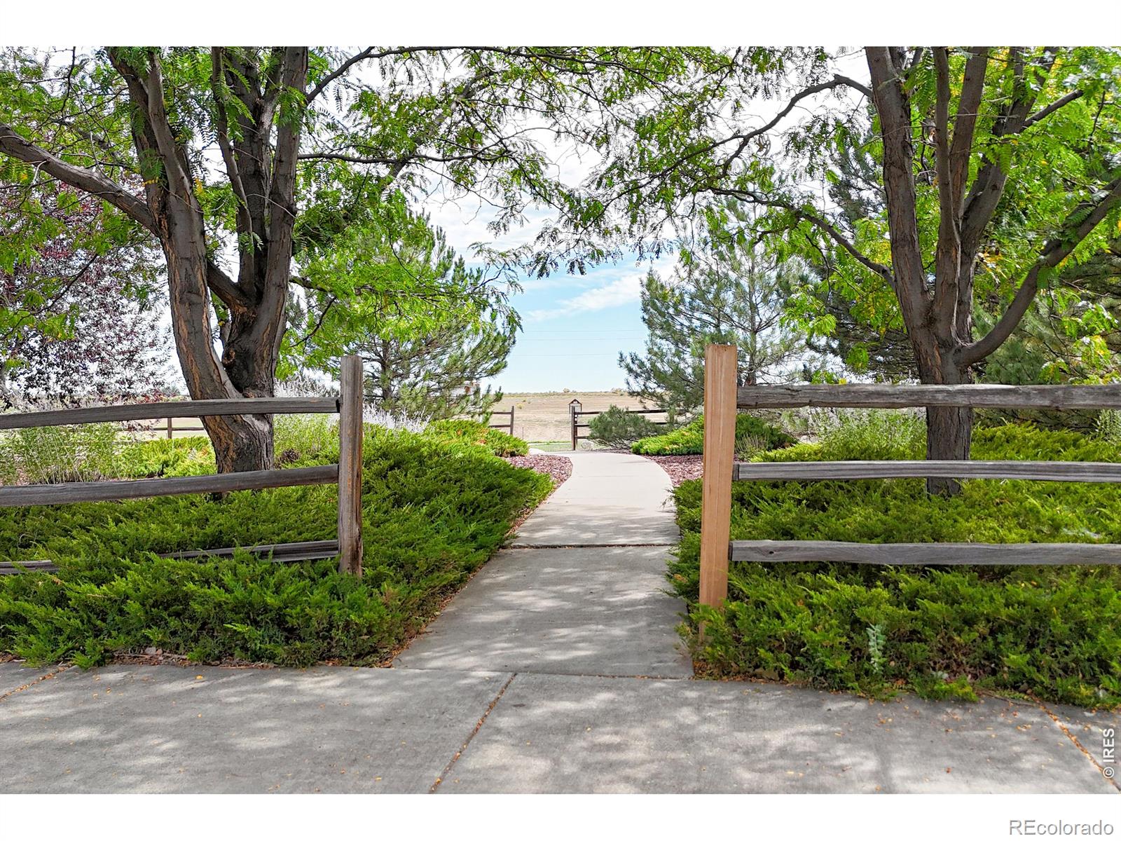 MLS Image #43 for 6814  barbuda drive,fort collins, Colorado