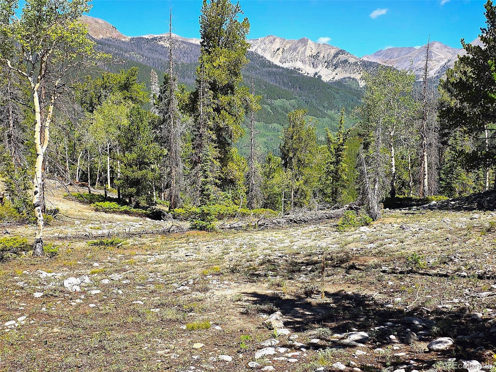 MLS Image #0 for 840  forest service road 890 ,white pine, Colorado