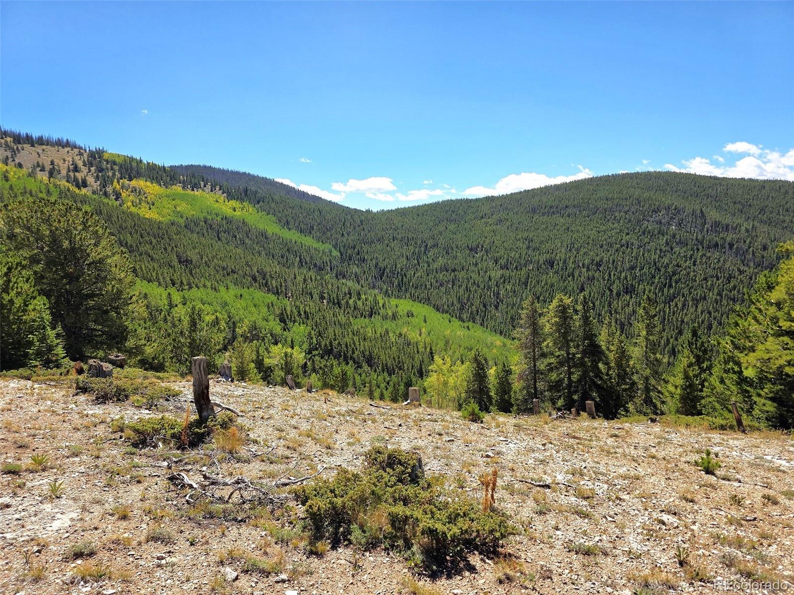 MLS Image #10 for 840  forest service road 890 ,white pine, Colorado