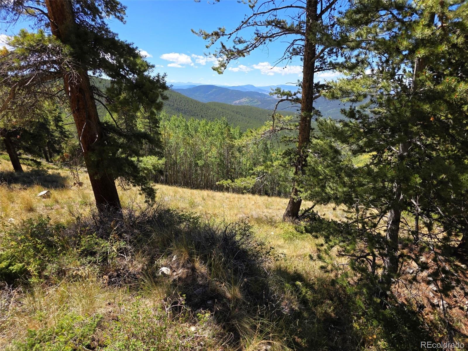 MLS Image #12 for 840  forest service road 890 ,white pine, Colorado