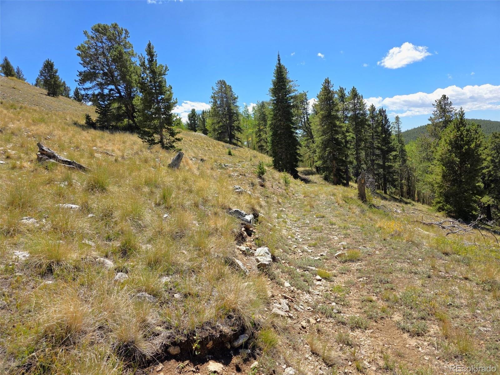 MLS Image #13 for 840  forest service road 890 ,white pine, Colorado