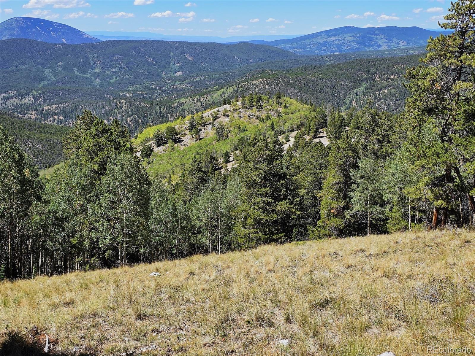 MLS Image #14 for 840  forest service road 890 ,white pine, Colorado