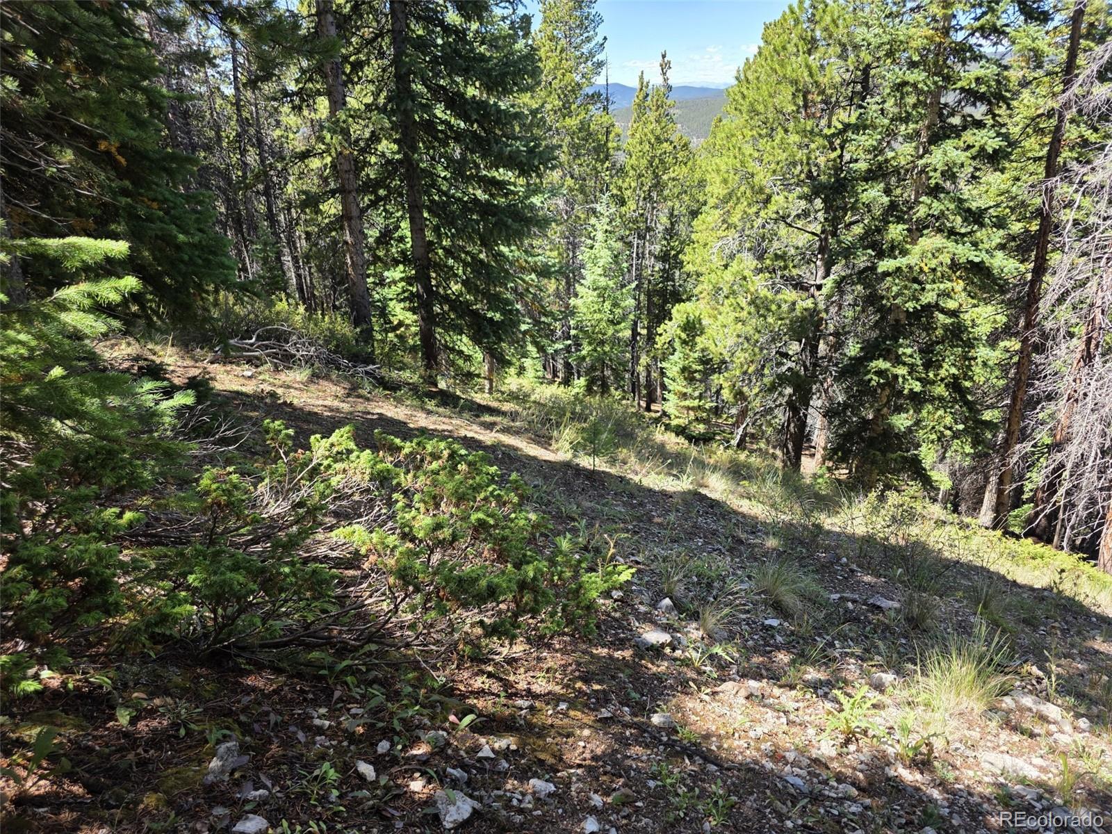 MLS Image #15 for 840  forest service road 890 ,white pine, Colorado