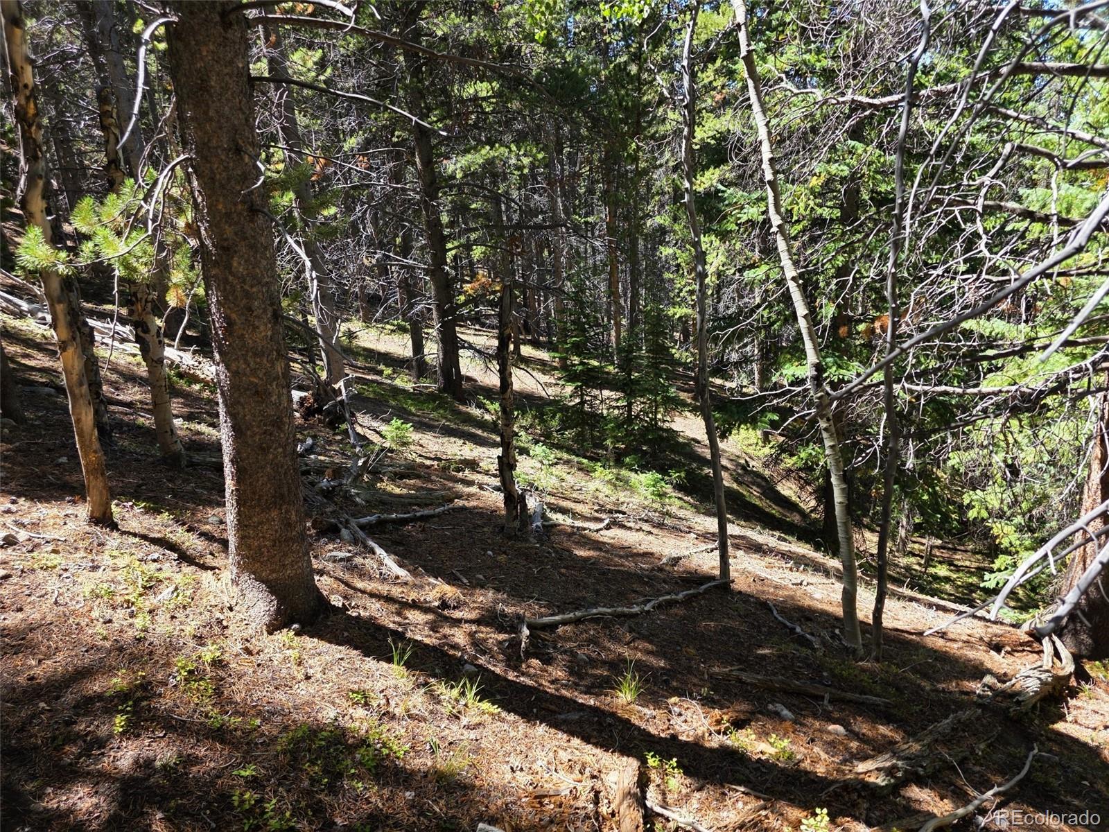 MLS Image #18 for 840  forest service road 890 ,white pine, Colorado