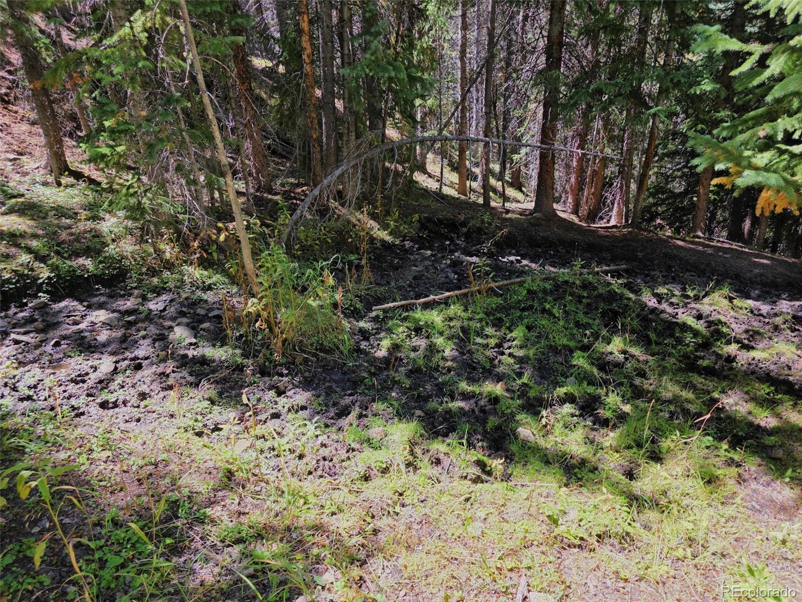MLS Image #19 for 840  forest service road 890 ,white pine, Colorado