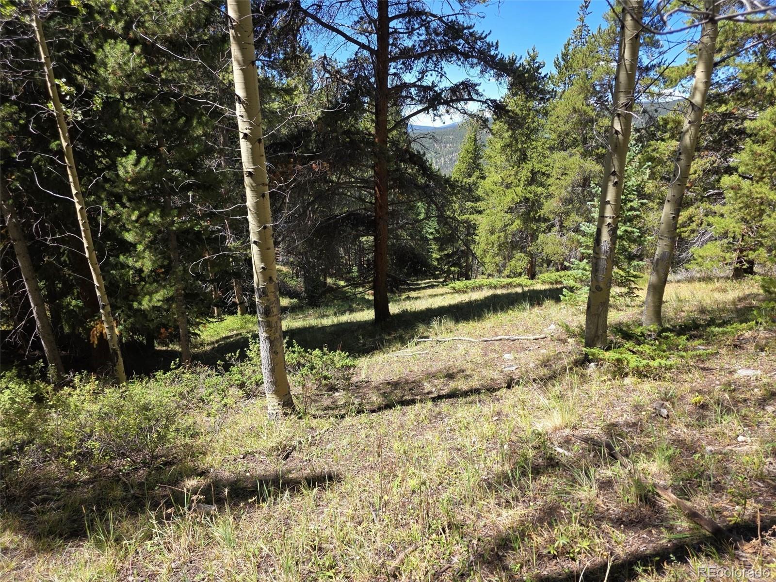 MLS Image #21 for 840  forest service road 890 ,white pine, Colorado