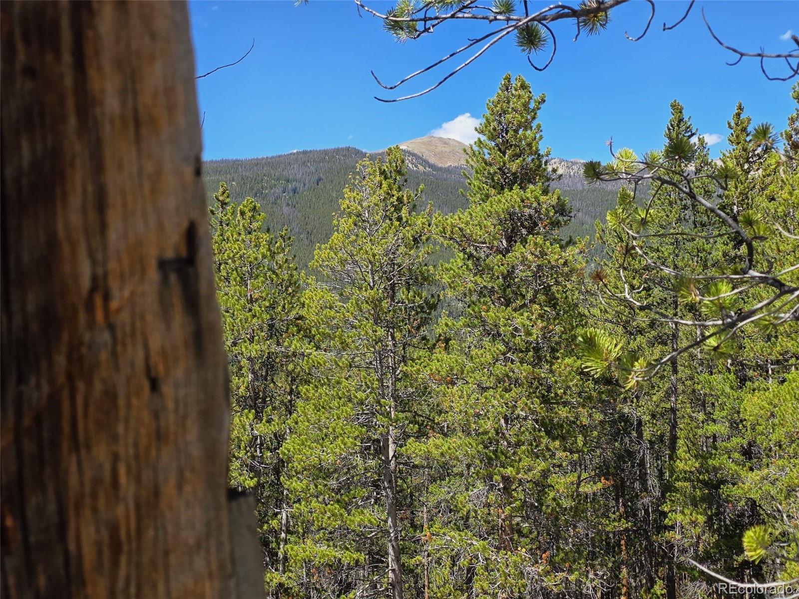 MLS Image #23 for 840  forest service road 890 ,white pine, Colorado
