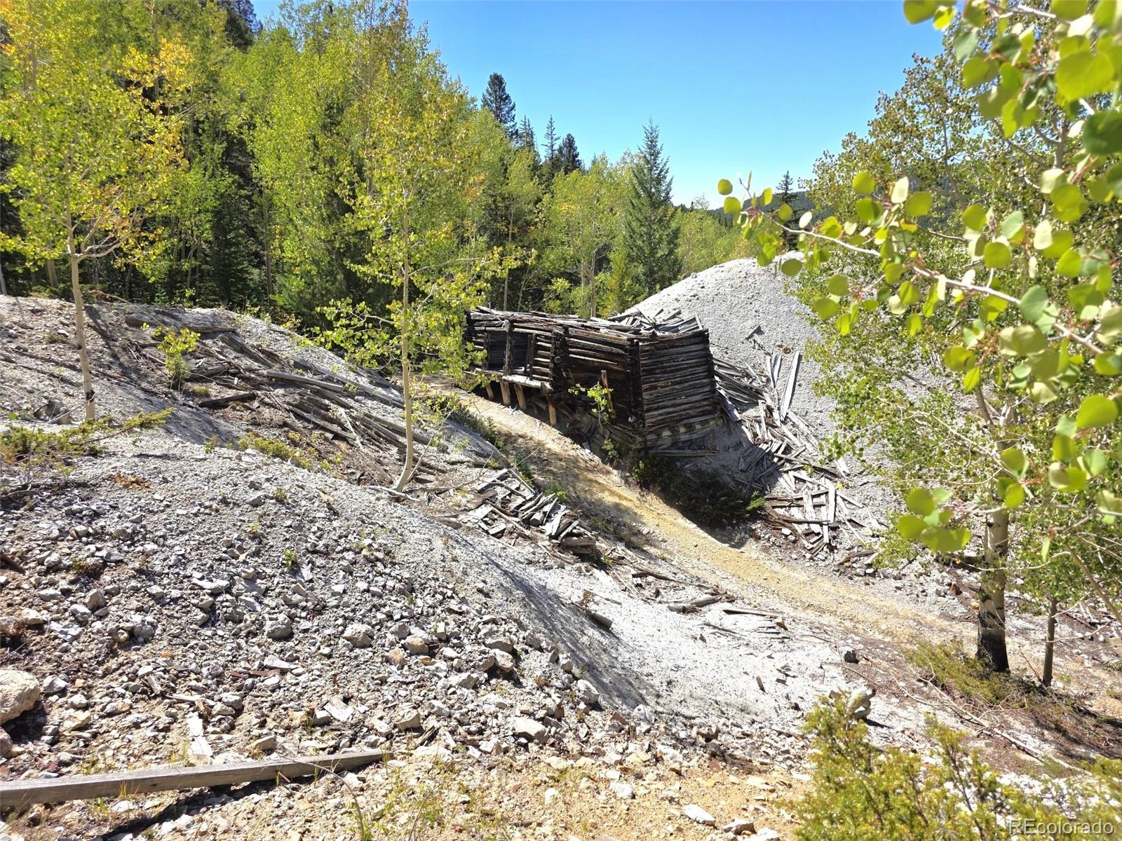 MLS Image #24 for 840  forest service road 890 ,white pine, Colorado