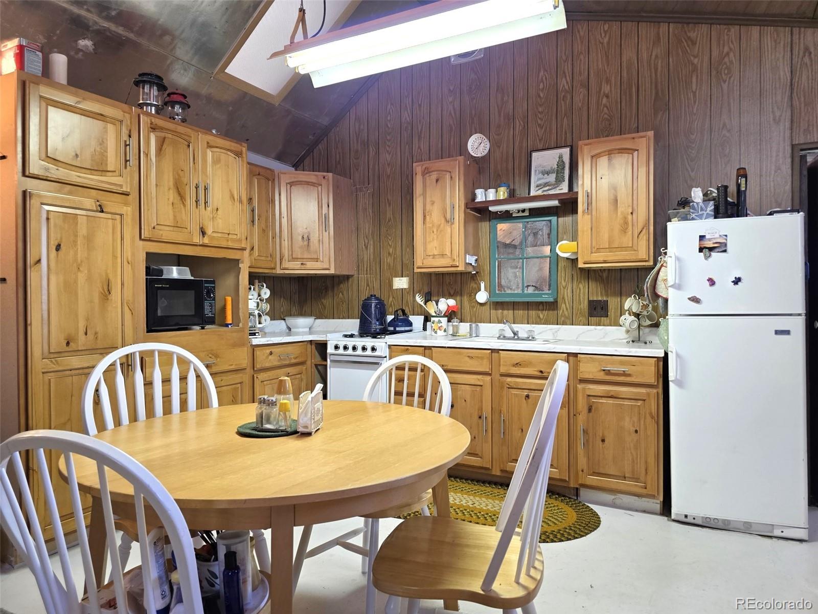 MLS Image #28 for 840  forest service road 890 ,white pine, Colorado