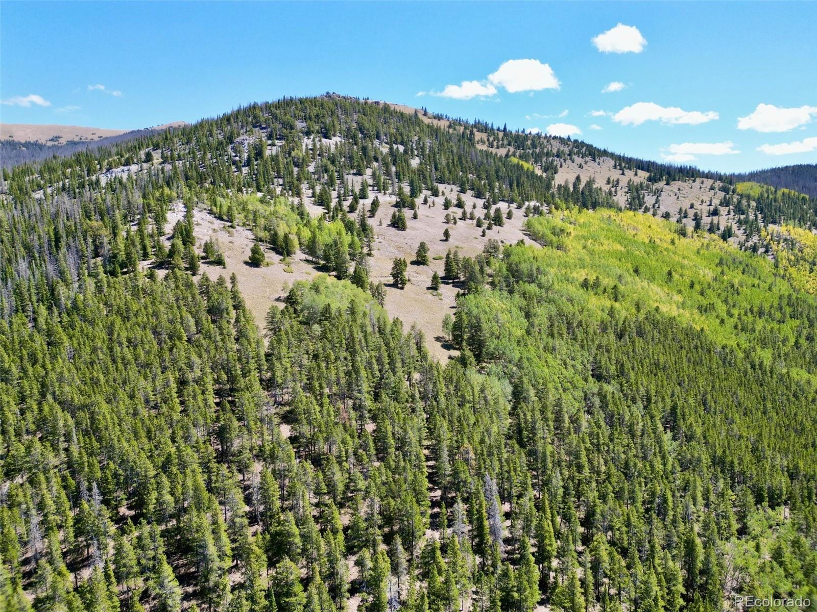 MLS Image #3 for 840  forest service road 890 ,white pine, Colorado