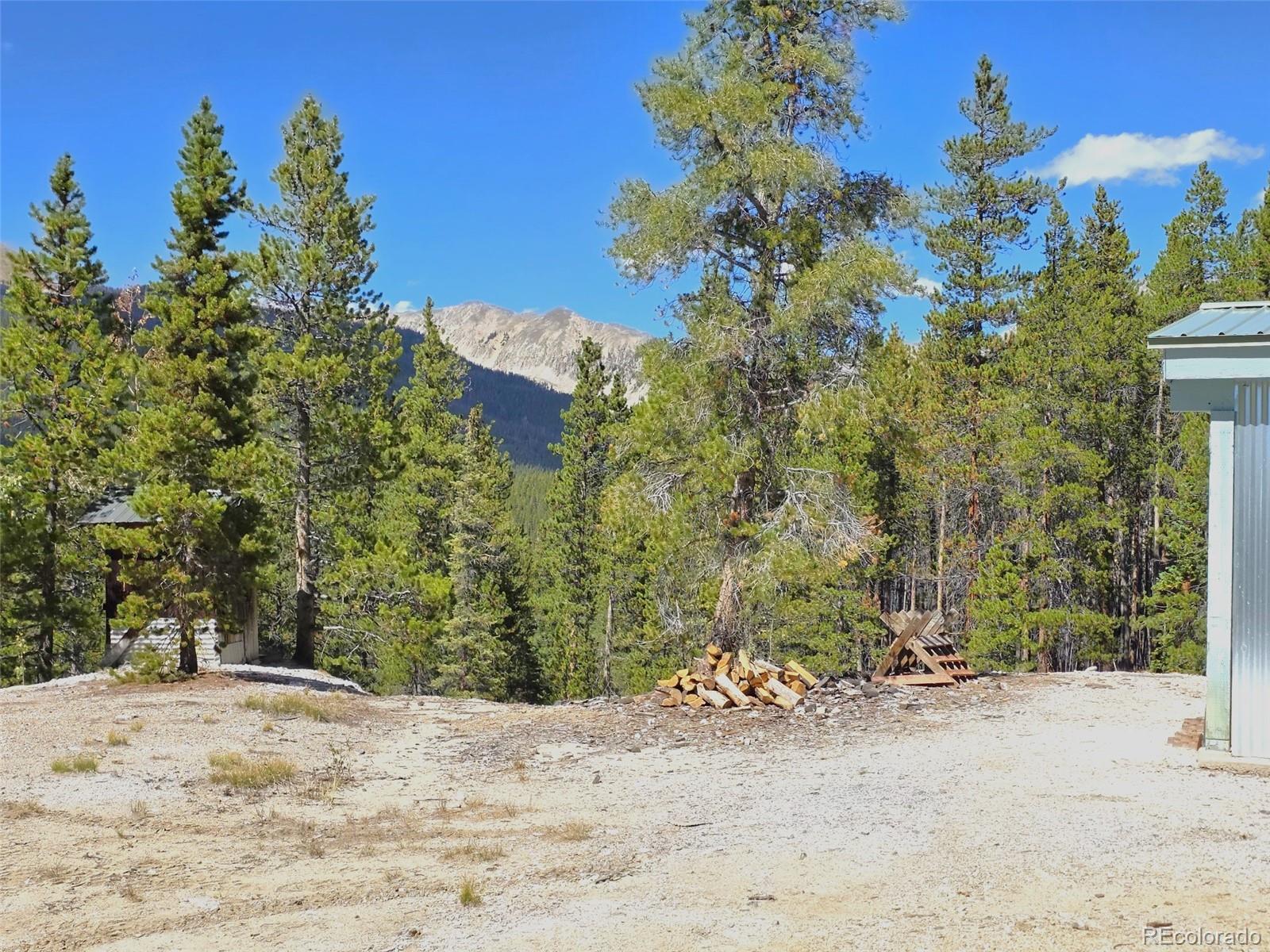 MLS Image #36 for 840  forest service road 890 ,white pine, Colorado