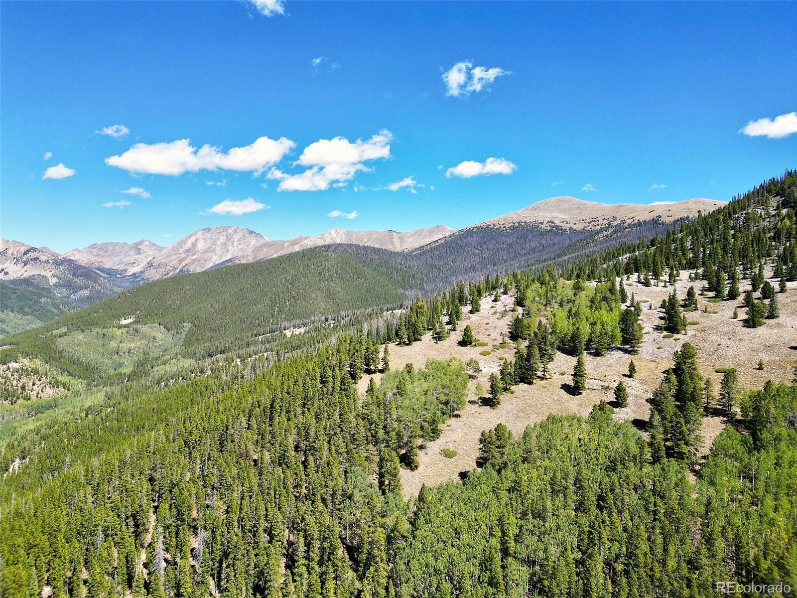 MLS Image #38 for 840  forest service road 890 ,white pine, Colorado