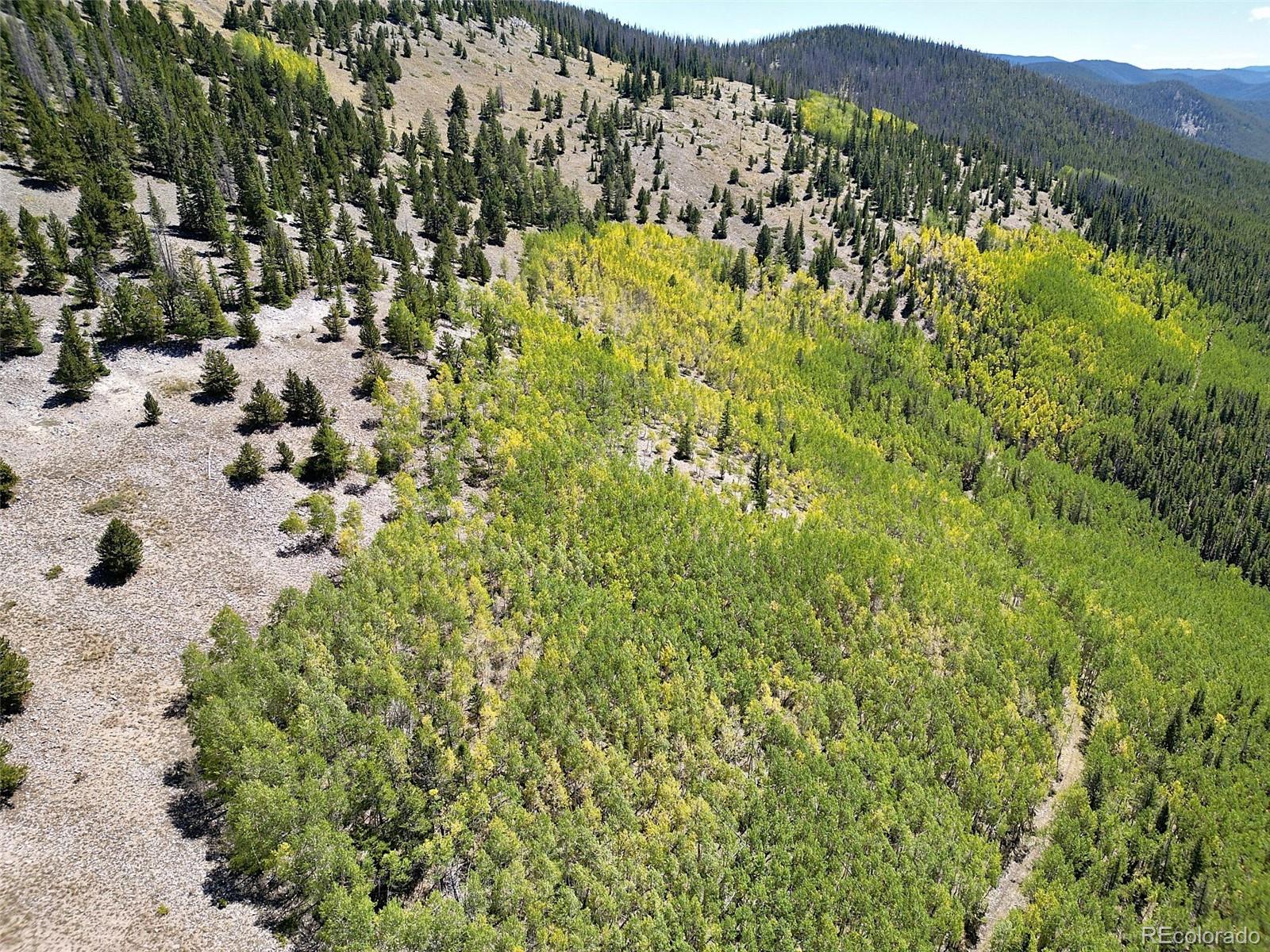 MLS Image #39 for 840  forest service road 890 ,white pine, Colorado