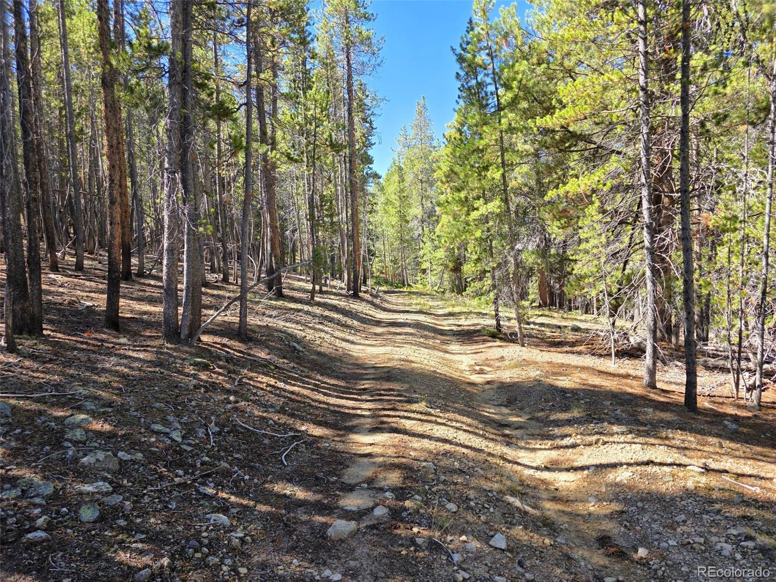 MLS Image #4 for 840  forest service road 890 ,white pine, Colorado