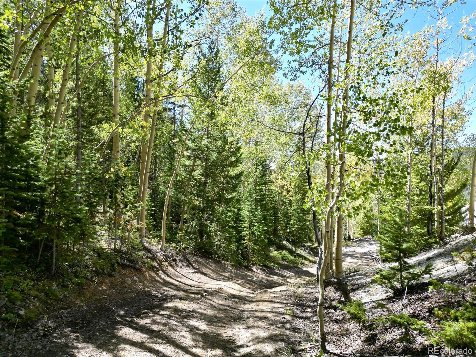 MLS Image #40 for 840  forest service road 890 ,white pine, Colorado