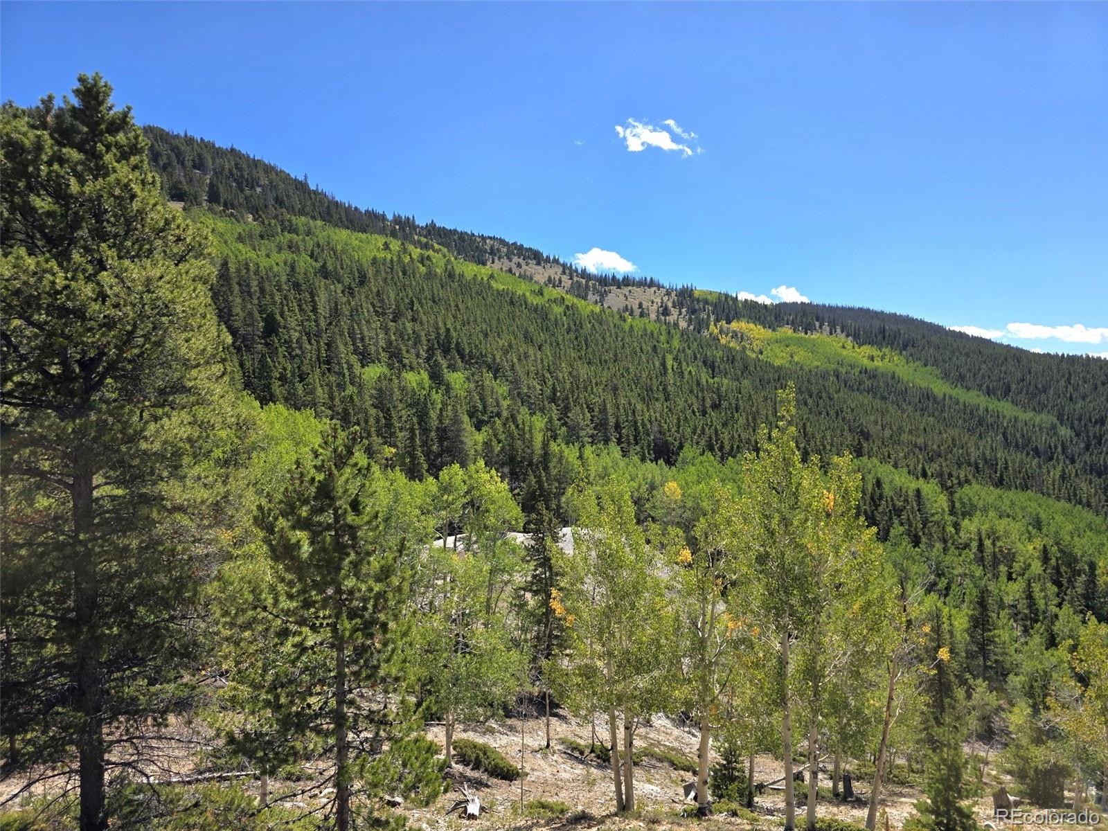 MLS Image #42 for 840  forest service road 890 ,white pine, Colorado