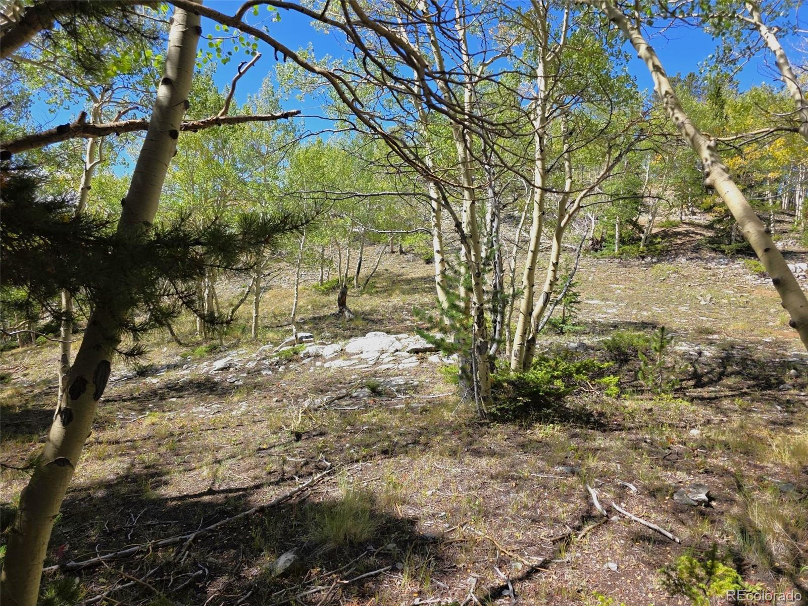 MLS Image #43 for 840  forest service road 890 ,white pine, Colorado