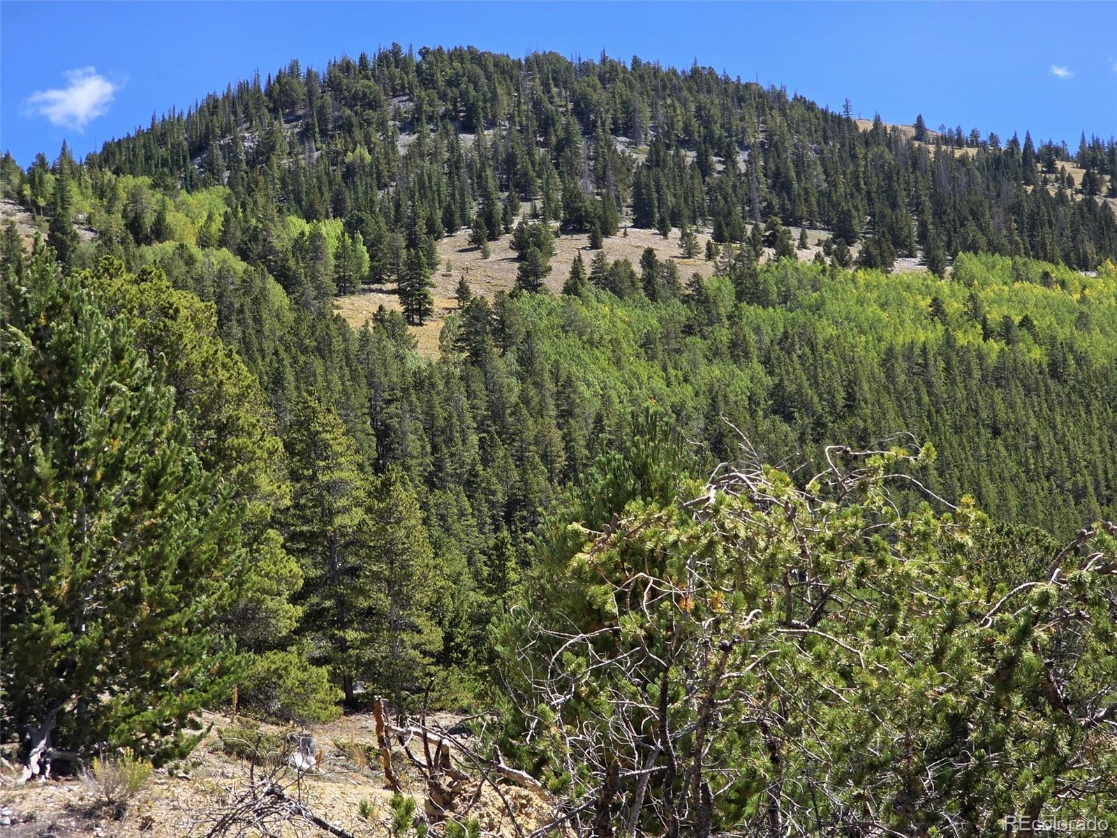 MLS Image #44 for 840  forest service road 890 ,white pine, Colorado