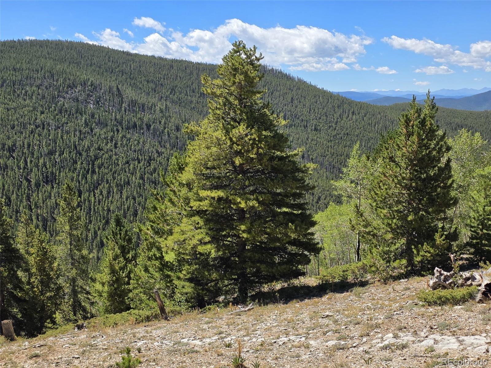 MLS Image #45 for 840  forest service road 890 ,white pine, Colorado