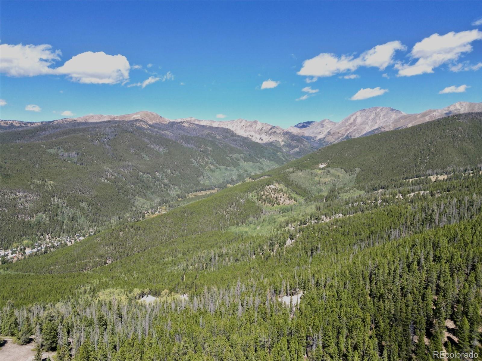 MLS Image #46 for 840  forest service road 890 ,white pine, Colorado
