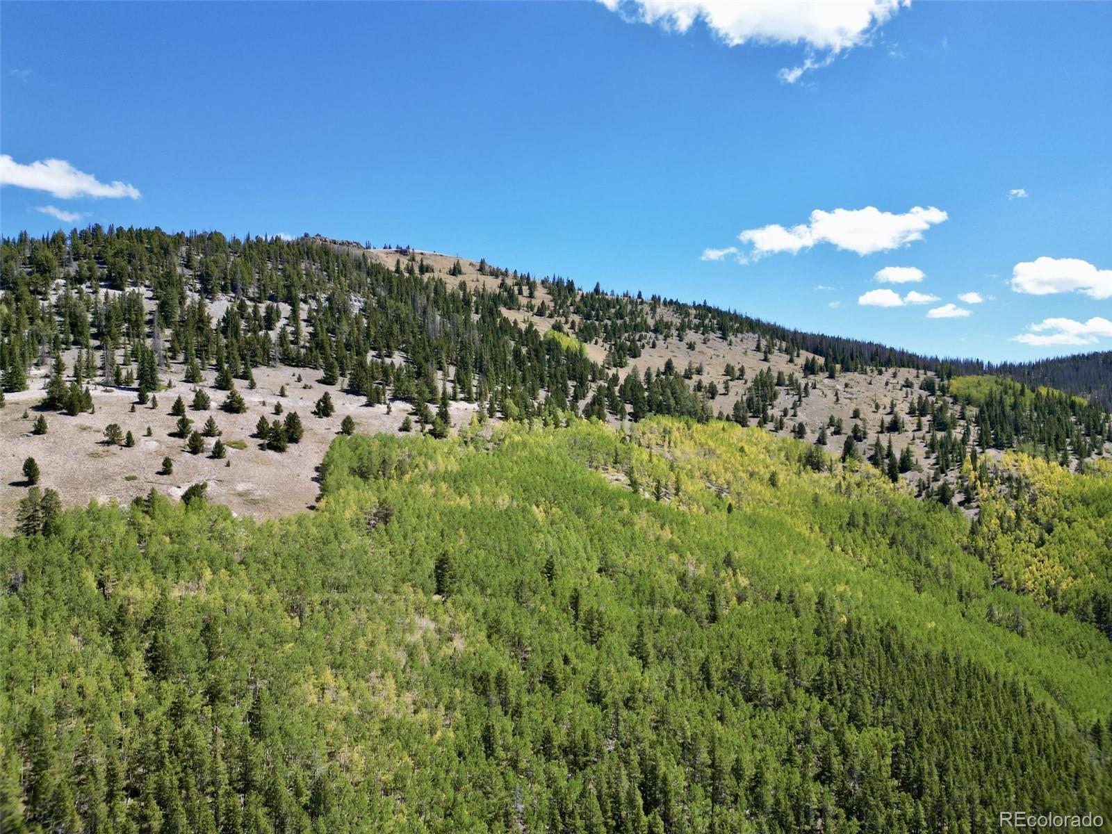 MLS Image #47 for 840  forest service road 890 ,white pine, Colorado