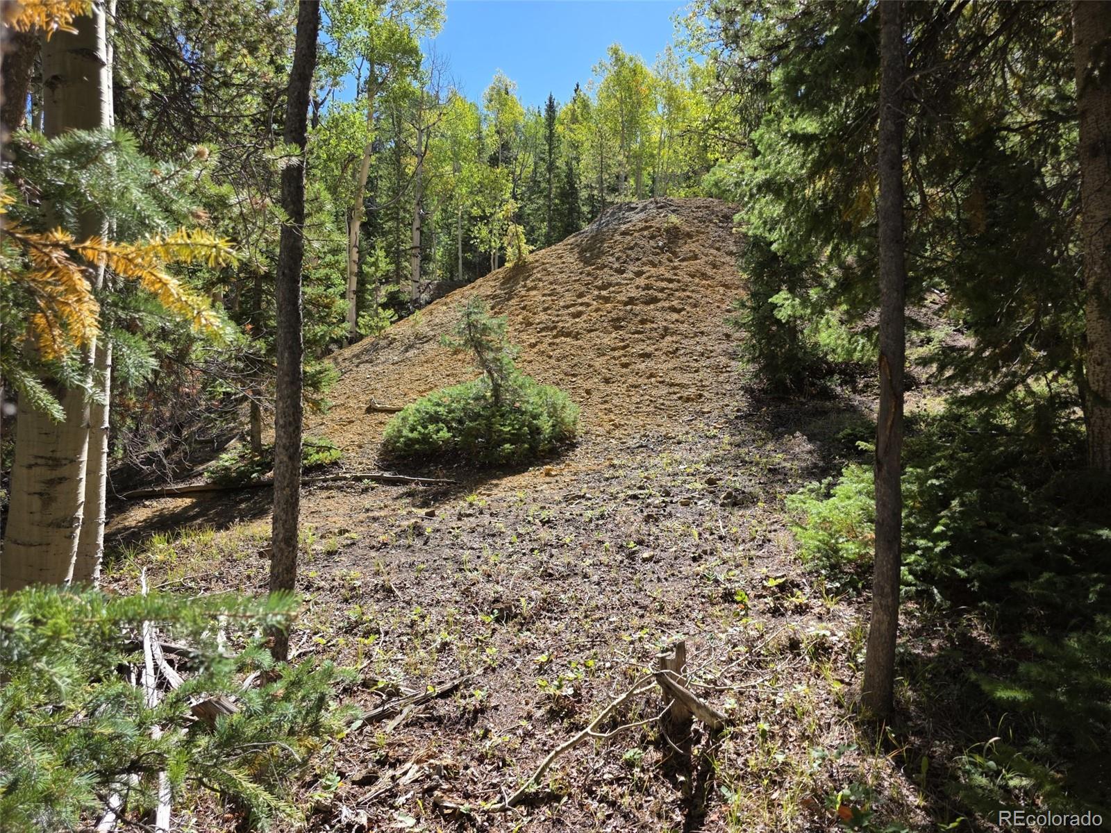 MLS Image #6 for 840  forest service road 890 ,white pine, Colorado
