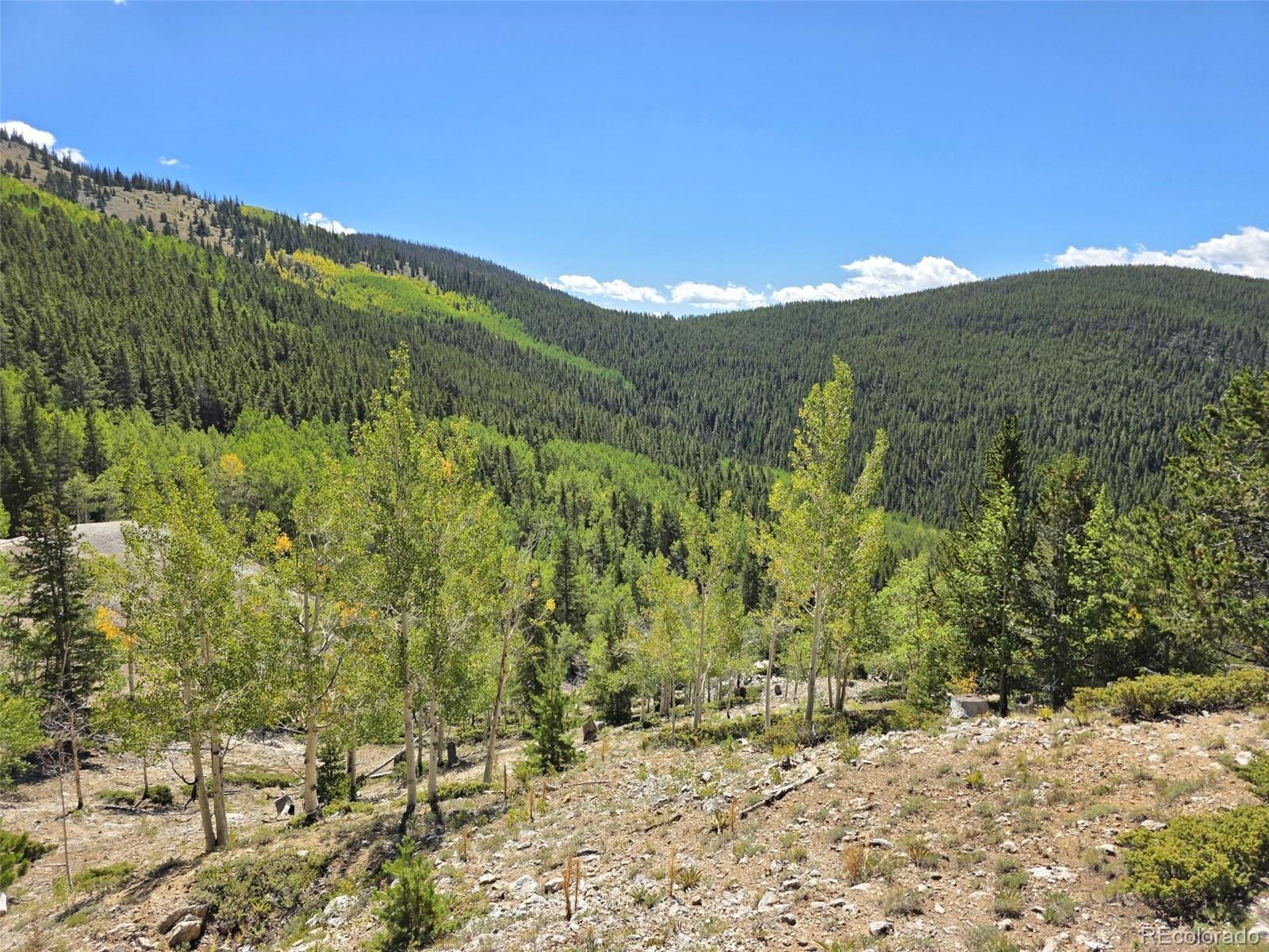 MLS Image #7 for 840  forest service road 890 ,white pine, Colorado