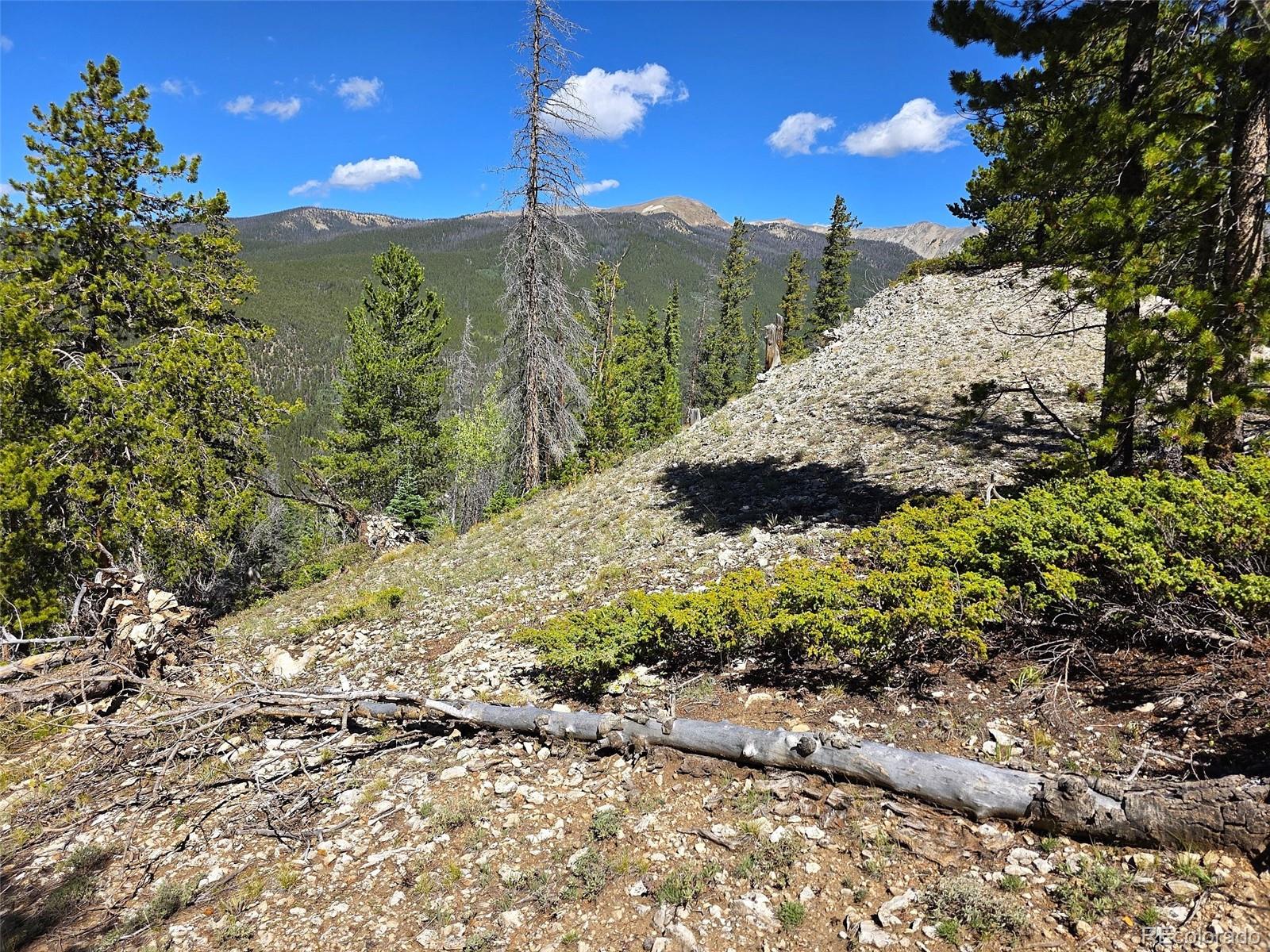 MLS Image #8 for 840  forest service road 890 ,white pine, Colorado