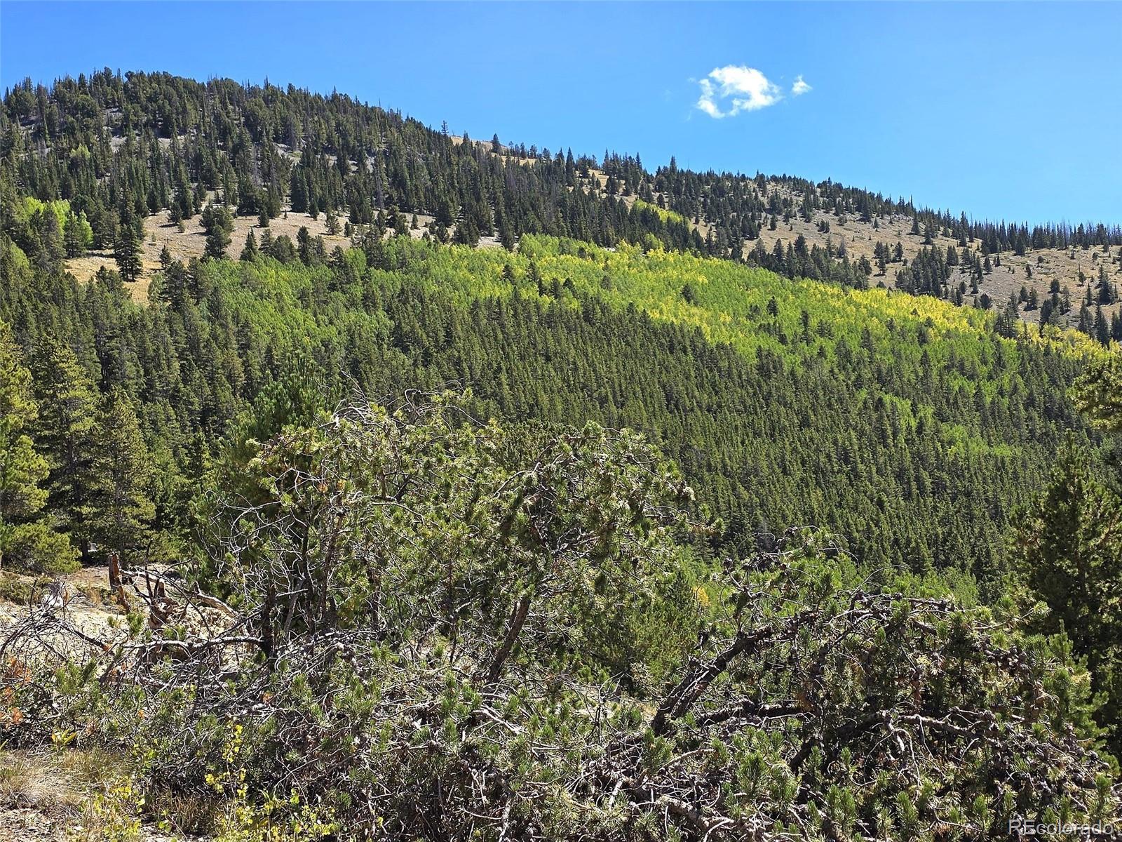 MLS Image #9 for 840  forest service road 890 ,white pine, Colorado