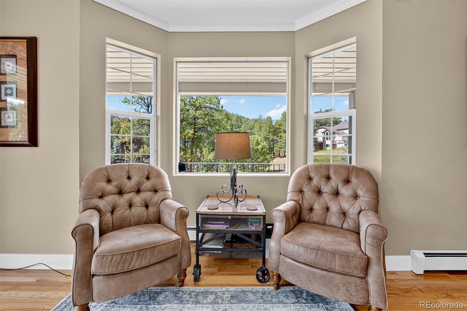 MLS Image #4 for 7540 s homesteader drive,morrison, Colorado