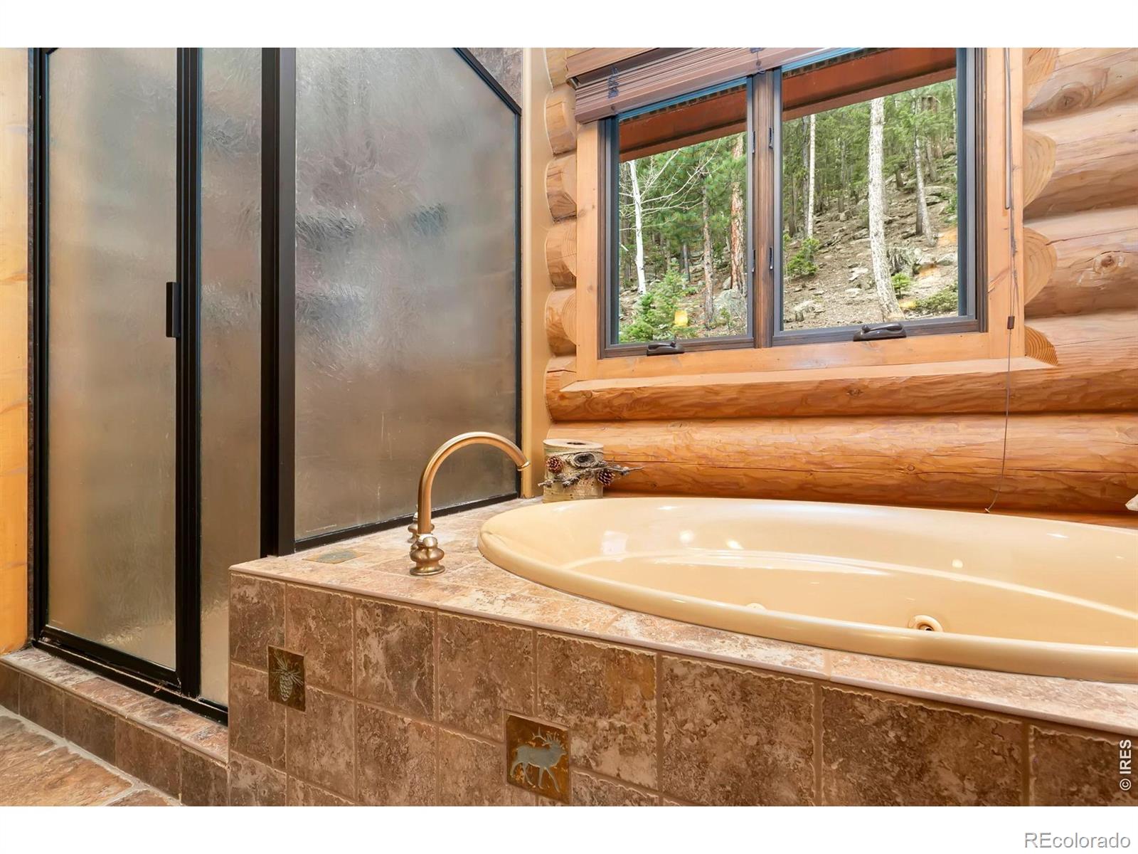 MLS Image #25 for 1490  hummingbird drive,estes park, Colorado