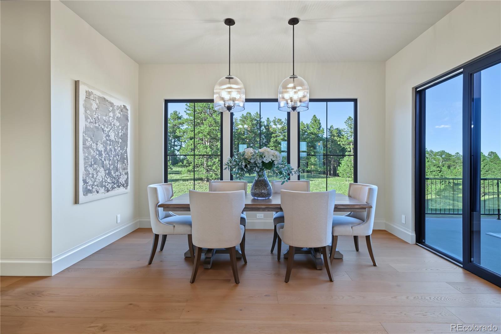 MLS Image #17 for 10593  alamar way,colorado springs, Colorado