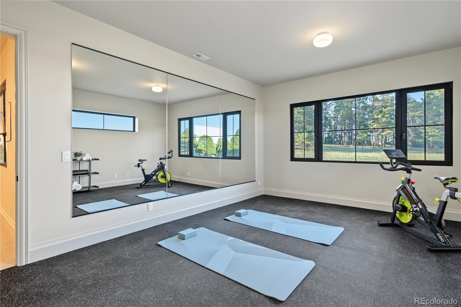 MLS Image #38 for 10593  alamar way,colorado springs, Colorado