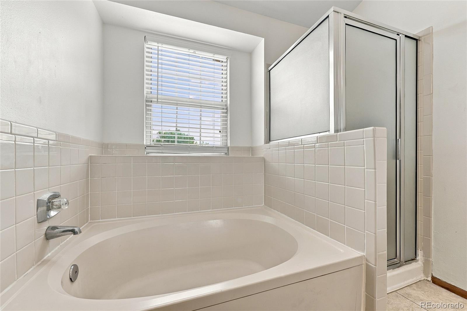 MLS Image #19 for 10419  strasburg way,parker, Colorado