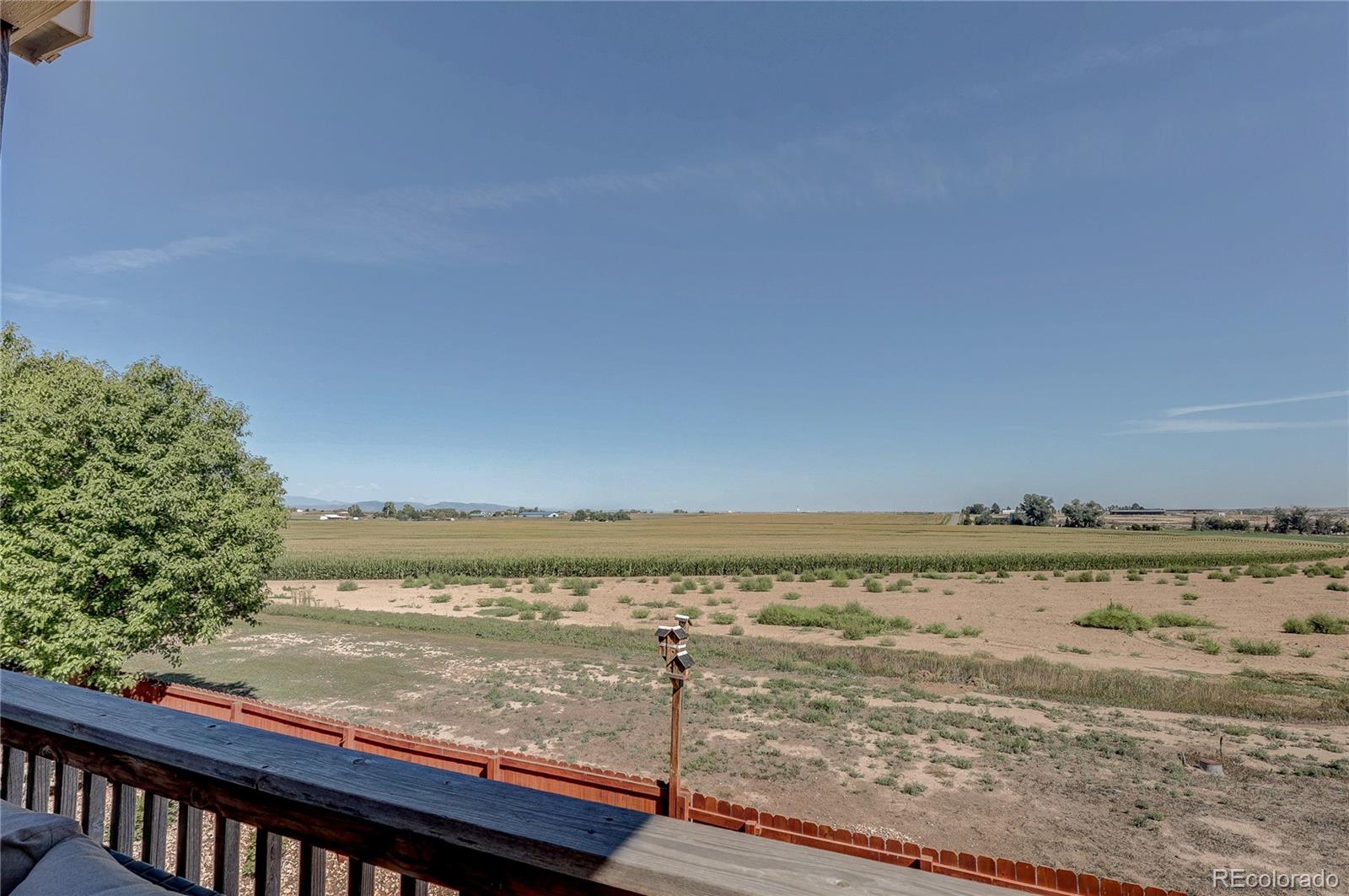 MLS Image #39 for 3125  argyll lane,johnstown, Colorado