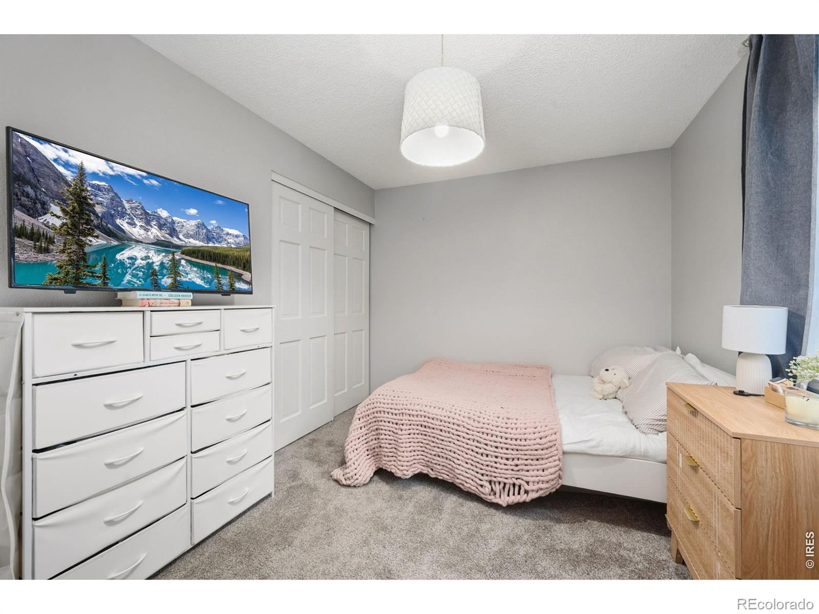 MLS Image #19 for 4300  revere court,fort collins, Colorado