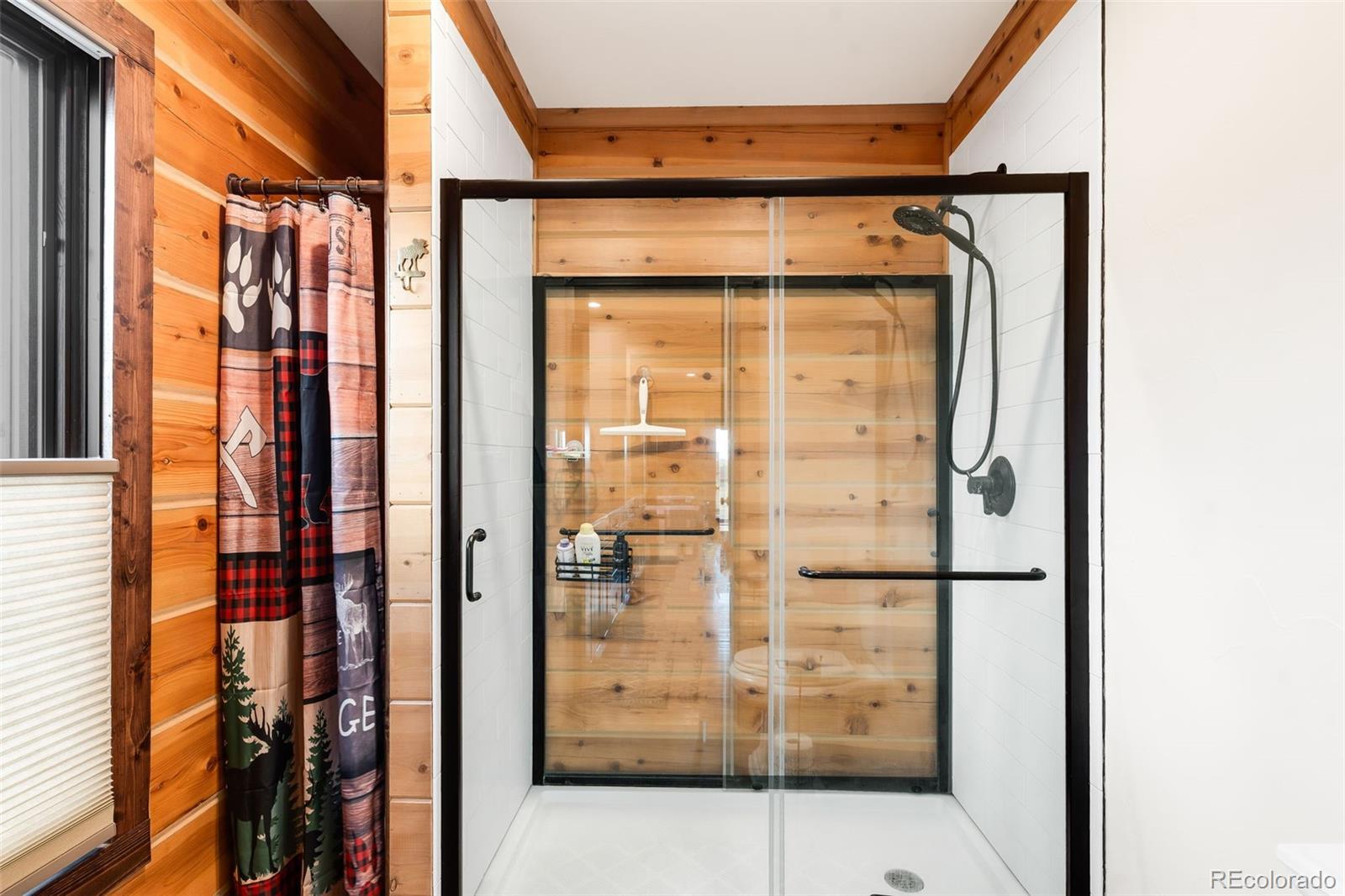MLS Image #10 for 411  larkspur lane,westcliffe, Colorado