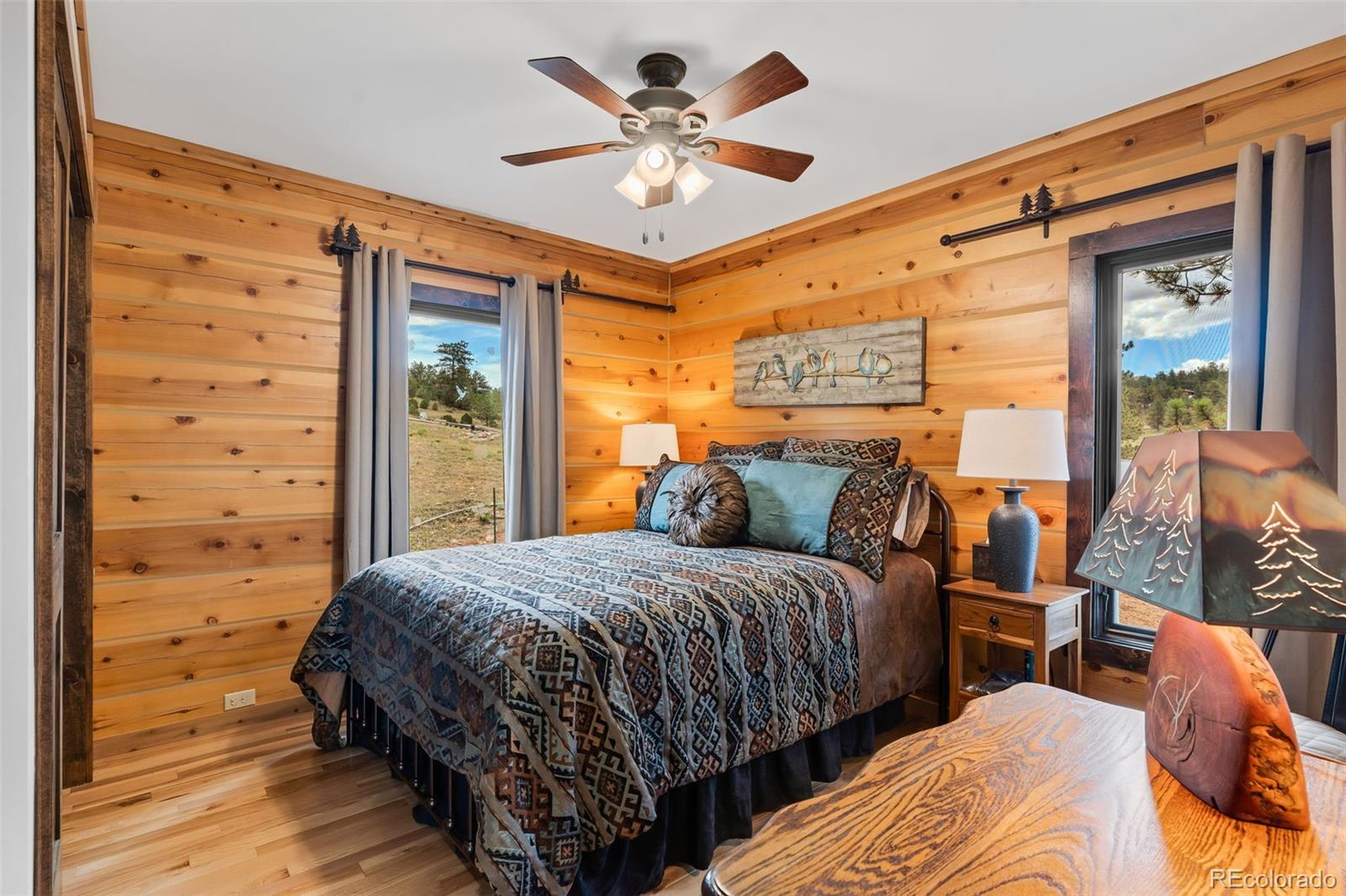 MLS Image #13 for 411  larkspur lane,westcliffe, Colorado
