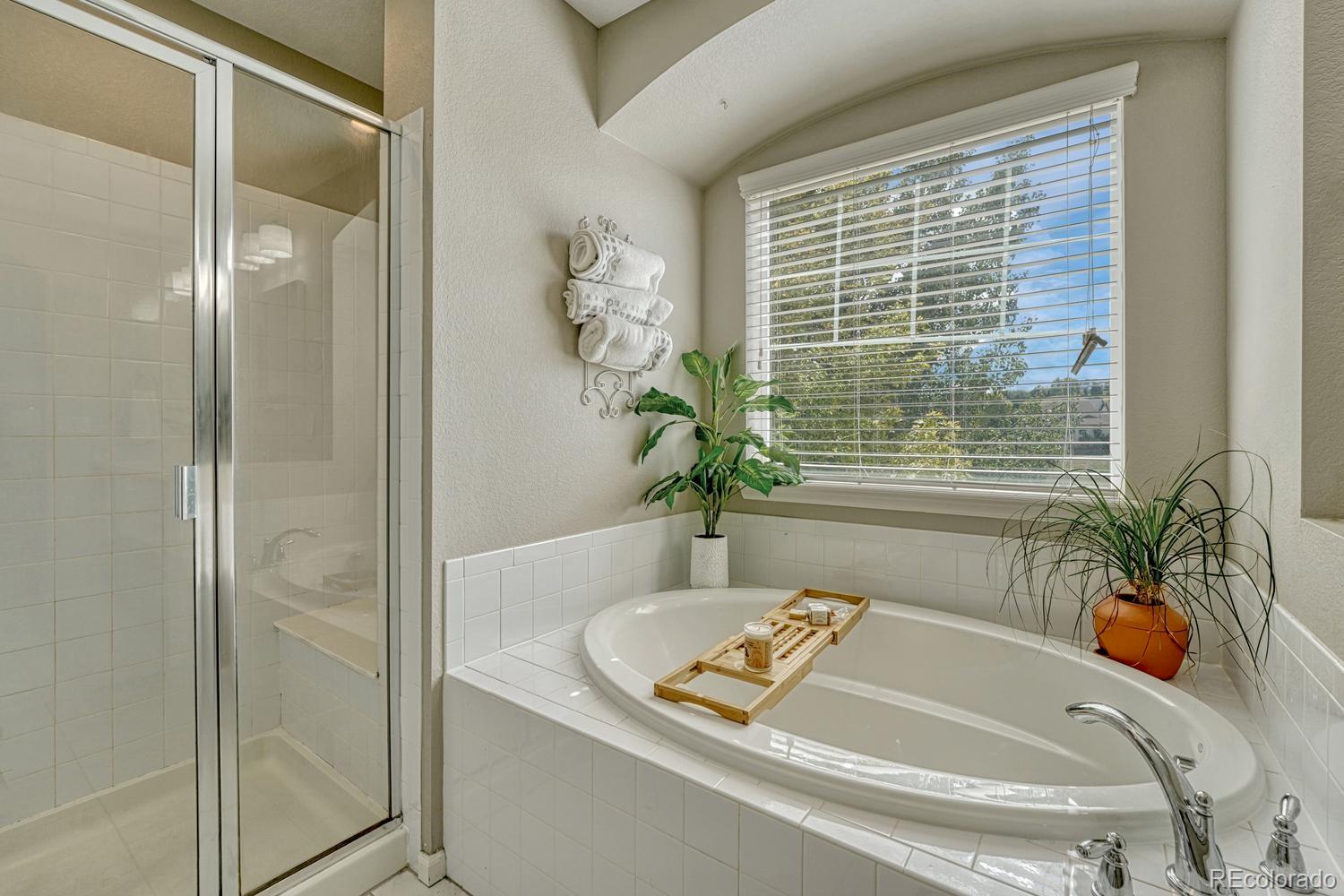 MLS Image #28 for 23736  eagle bend lane,parker, Colorado