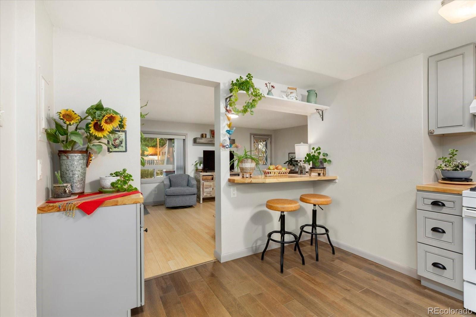 MLS Image #13 for 745  scott street,salida, Colorado