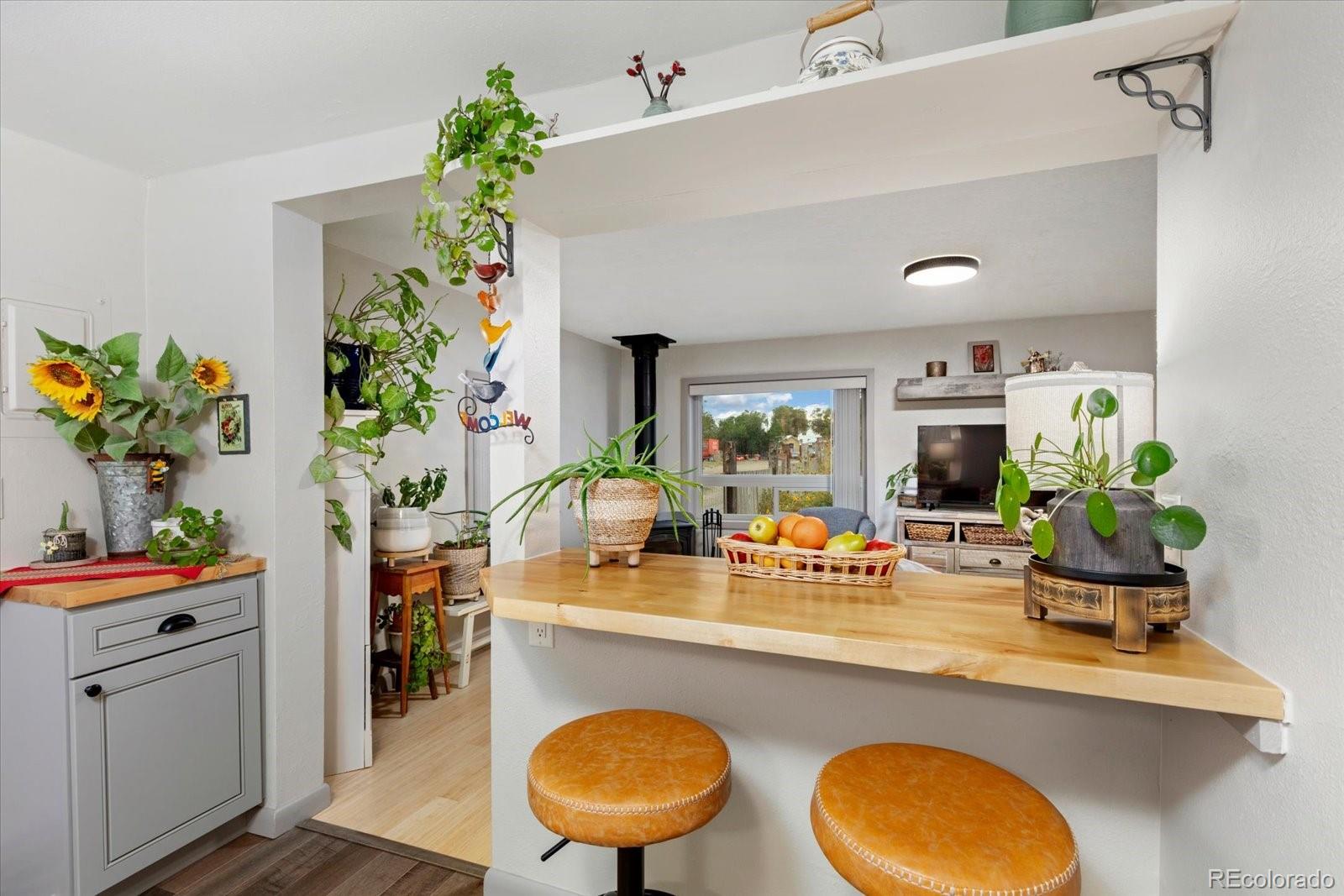 MLS Image #14 for 745  scott street,salida, Colorado