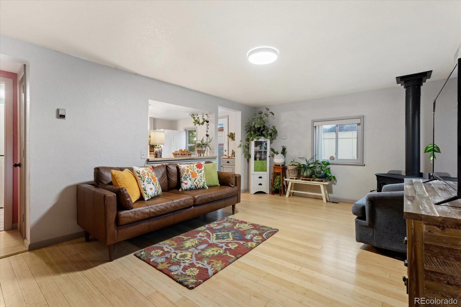 MLS Image #6 for 745  scott street,salida, Colorado