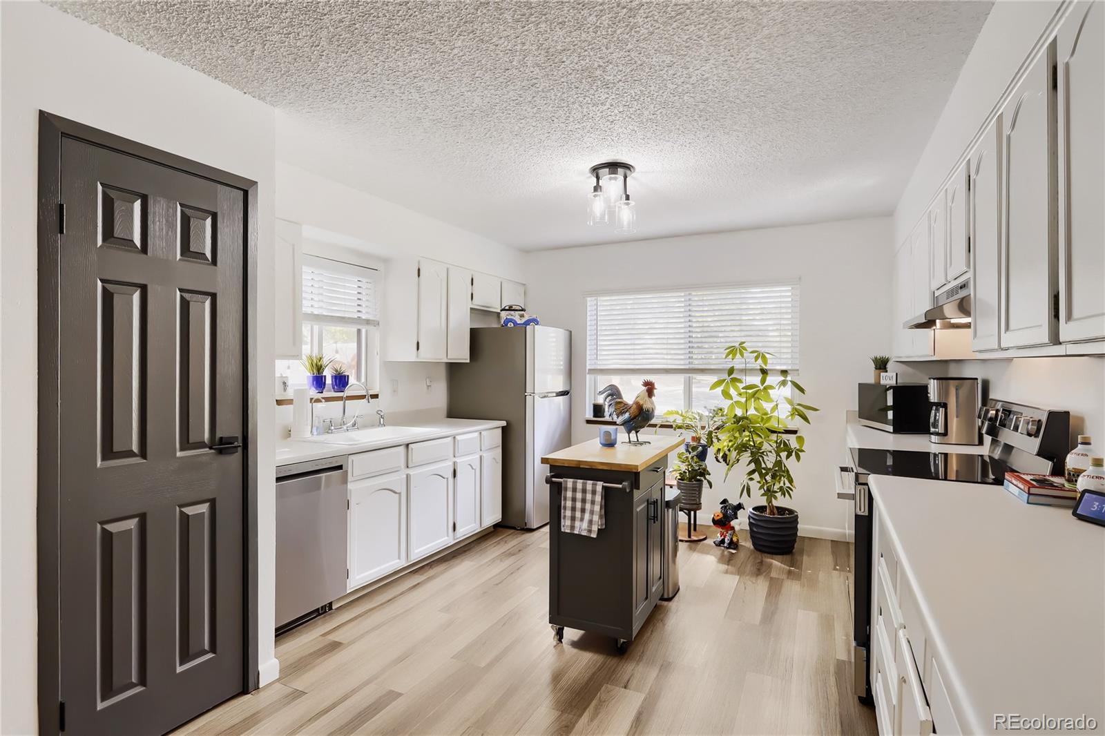 MLS Image #10 for 1501  belero street,broomfield, Colorado