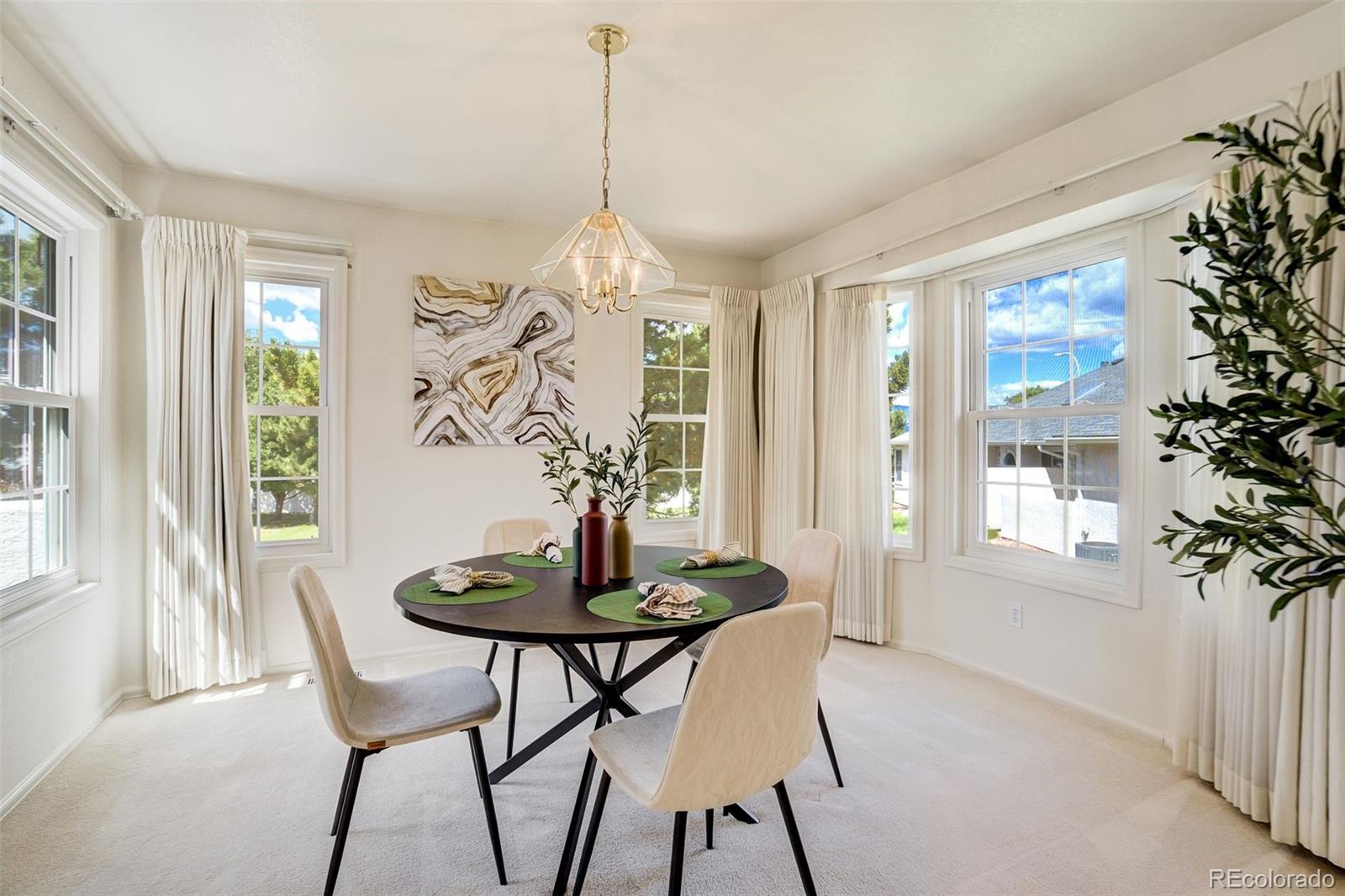 MLS Image #9 for 3157  soaring bird circle,colorado springs, Colorado