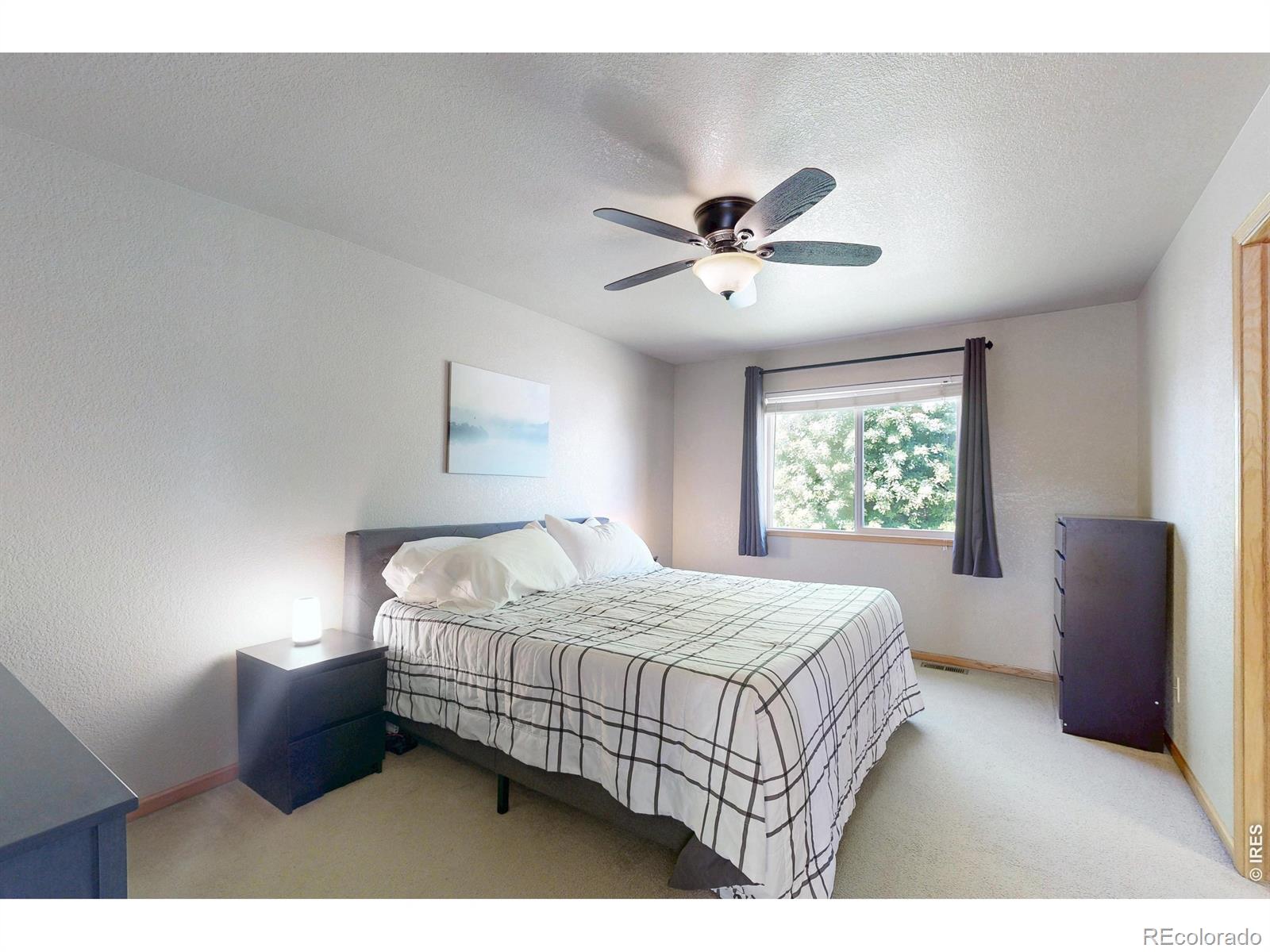 MLS Image #12 for 8551  secretariat drive,wellington, Colorado