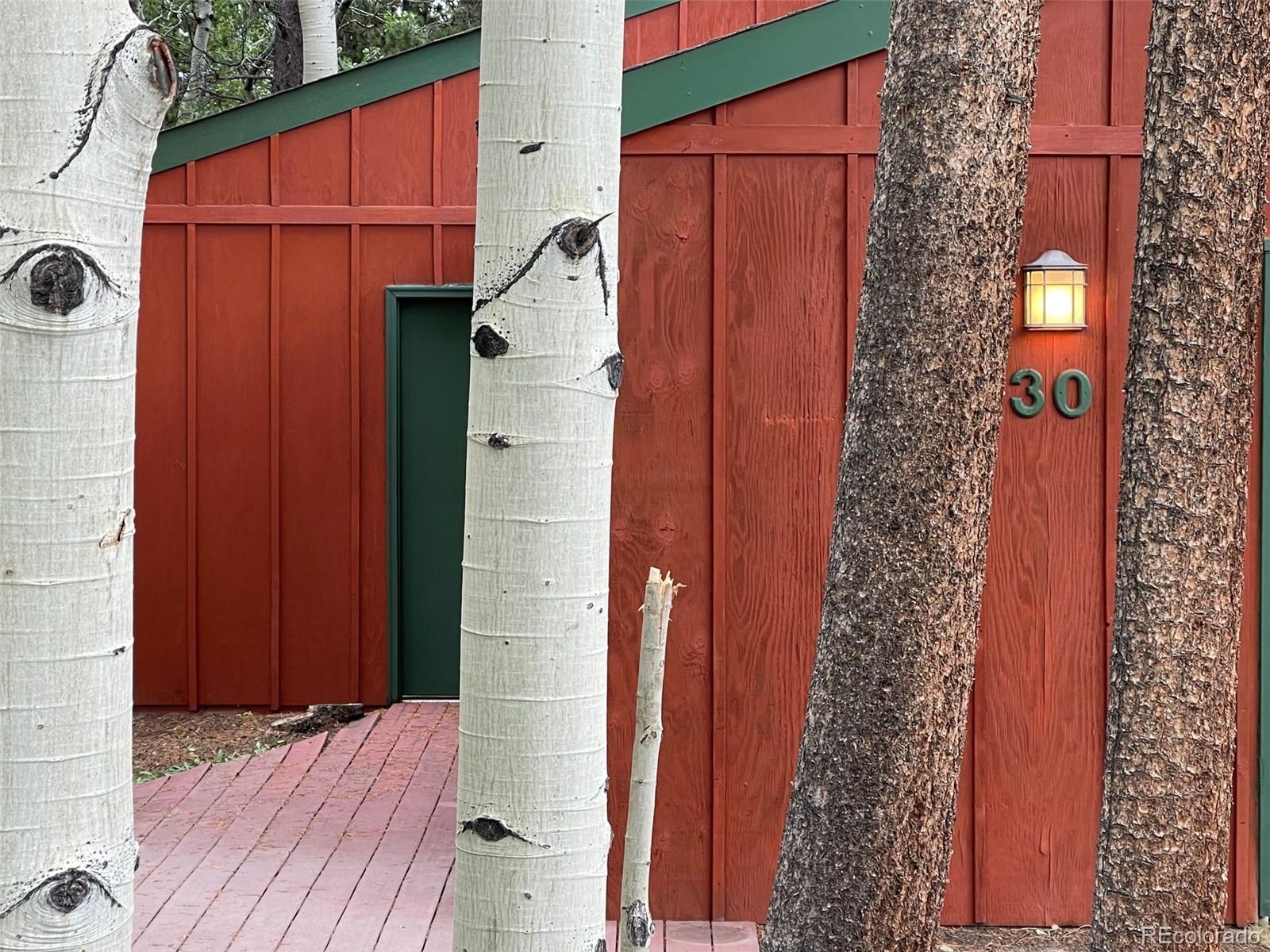 MLS Image #29 for 30  debra ann road,golden, Colorado